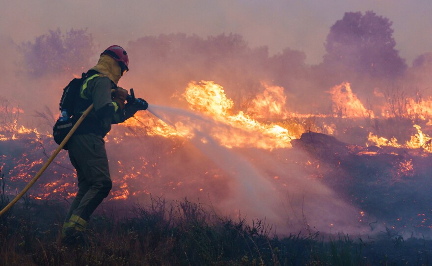 A firefighter operates at the site of a wildfire in Pumarejo de Tera near Zamora, northern Spain, in June.