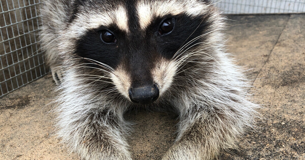 'Urban Oasis' at Living Coast Discovery Center