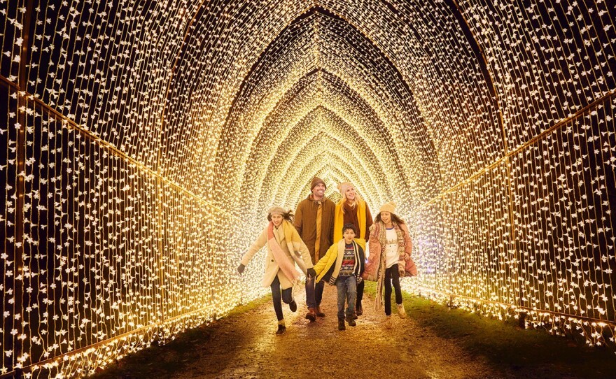 The "Winter Cathedral" installation at "Lightscapes" is shown in an undated photo. The light show runs at San Diego Botanic Garden through Jan. 1, 2023.