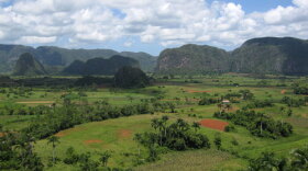 The strange landscape of Viñales, Pinar del Rio province, Cuba. 