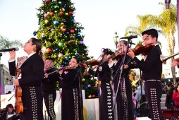 Starlight Parade and Tree Lighting