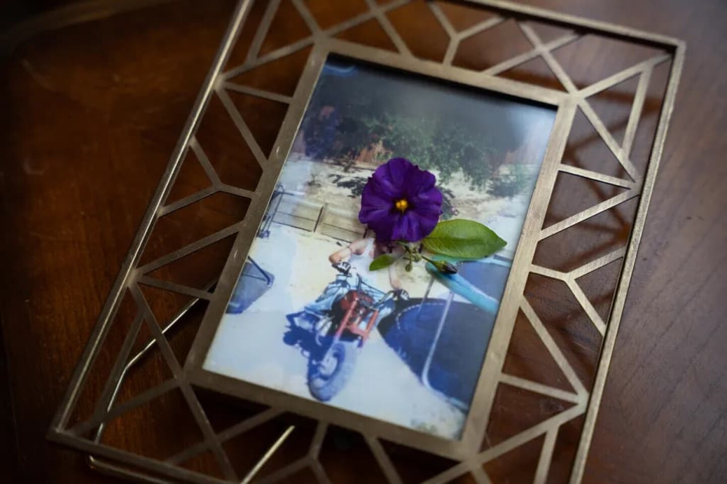 A photo of her son, now 38, riding a motorcycle in their backyard as a child, long before his mental health diagnosis. “His love of life,” she said, referring to dirt bikes and how her son has been a risk taker since childhood.