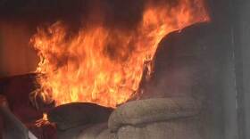 Duke University and the University of California at Berkley shows one-third of all couches contain chemicals in the form of flame retardants.

