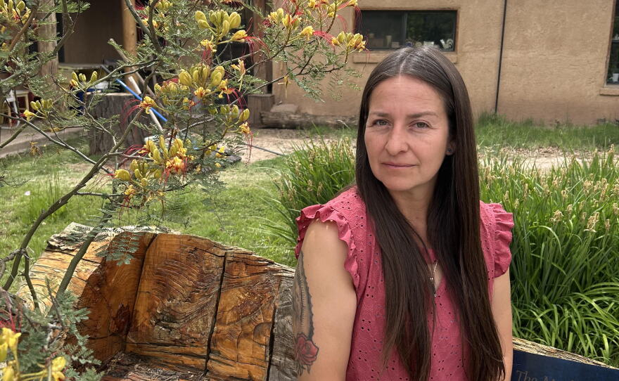 State Rep. Micaela Lara Cadena, an outspoken opponent of Project Jupiter in the state legislature, says this is not the time to green-light a massive new water user in drought-stricken Dona Ana County 