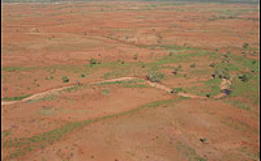 Located on the edge of the Great Sandy Desert in Western Australia, the Warrawagine Station has been one of the winners of climate change, thriving in nearly 24 inches of rain in the past year.