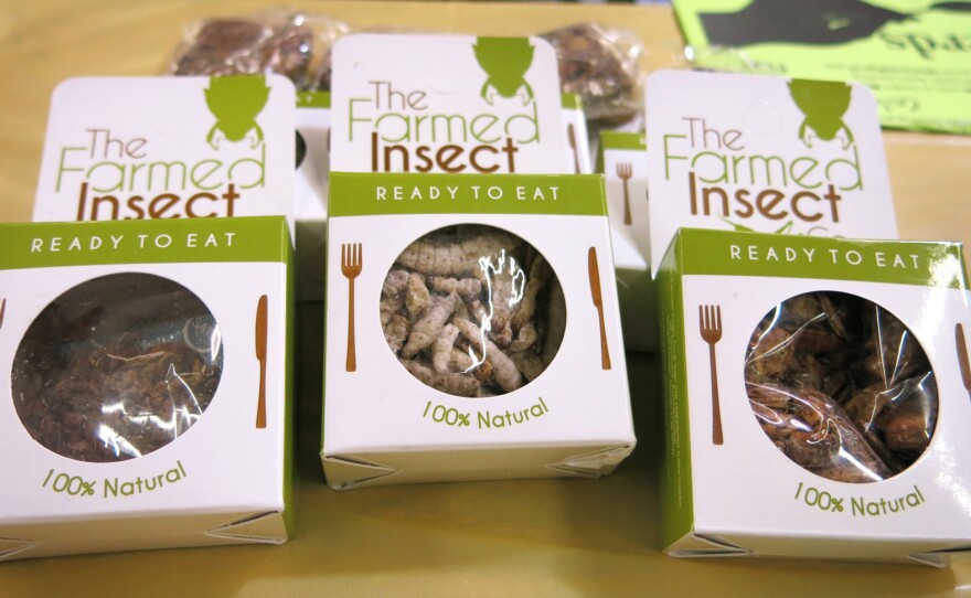 Packages of edible insects lie on a display table at the Denver County Fair.
