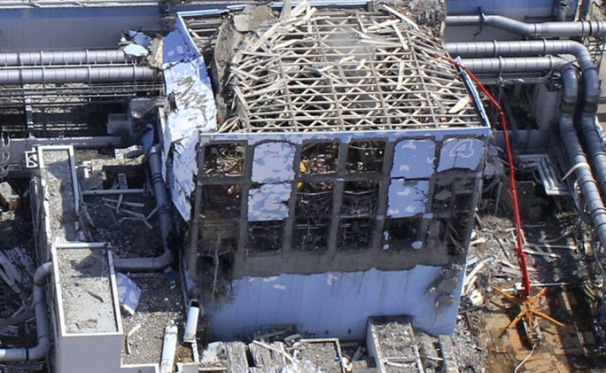 The facilities at the Fukushima Dai-ichi nuclear power plant were designed to withstand strong earthquakes and tsunamis, but not to the strength and size experienced on March 11.