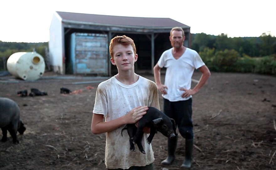 Clear-eyed and intimate, "Farmsteaders" follows Nick Nolan and his young family on a journey to resurrect his late grandfather's dairy farm as agriculture moves toward large-scale farming.