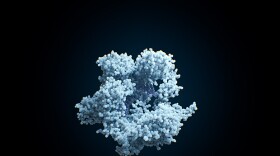 CAS-9 is a powerful protein that acts like a pair of molecular scissors, capable of cutting strands of DNA in precise locations in the genome so that the DNA can be edited. 