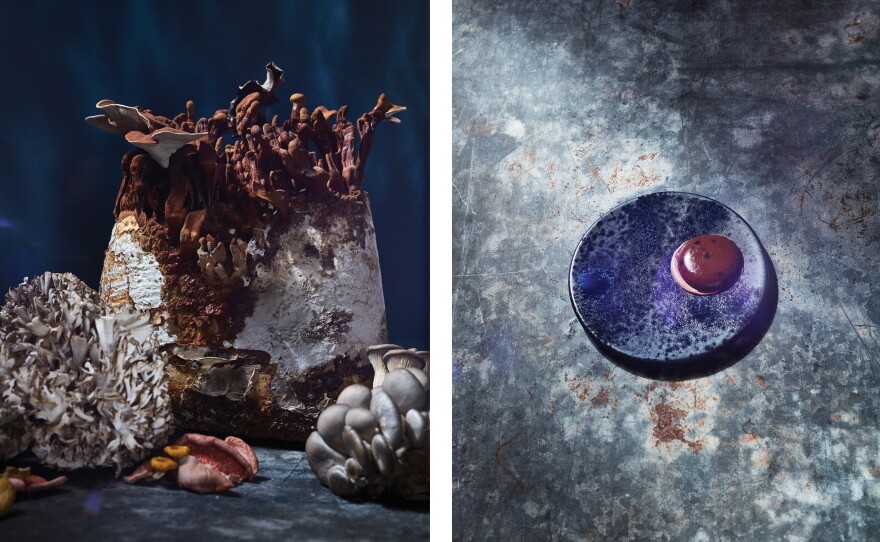 Left: Mushrooms have incredible potential as a future food source and can absorb toxins from the soil, says Wist. Right: Carob agar-agar pudding with whipped cream. Carob is substituted for chocolate, as cocoa production is threatened by rising temperatures.