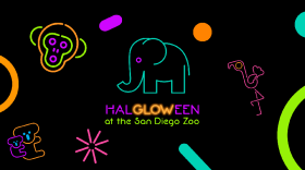 HalGLOWeen