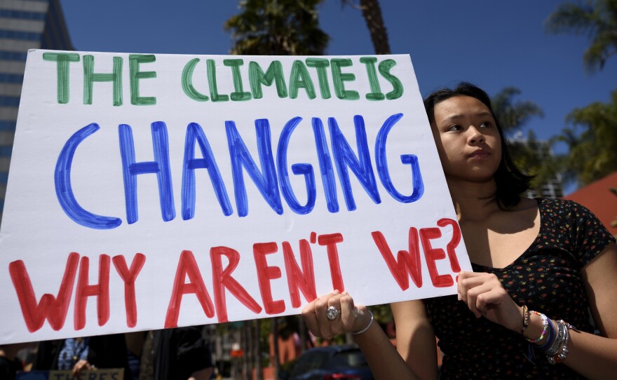 A protester is seen during a climate change demonstration in Los Angeles on May 24.