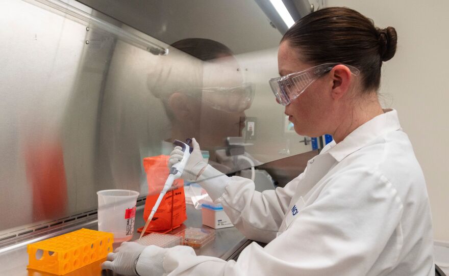 Dr. Rhonda Flores looks at protein samples on March 20 at Novavax labs in Gaithersburg, Md., one of the labs developing a vaccine for the coronavirus.