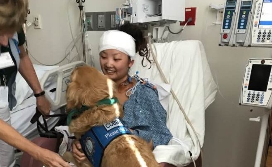 Fellow concertgoers helped get Elle Gargano over the fence and out of the festival grounds after she was wounded last Sunday.