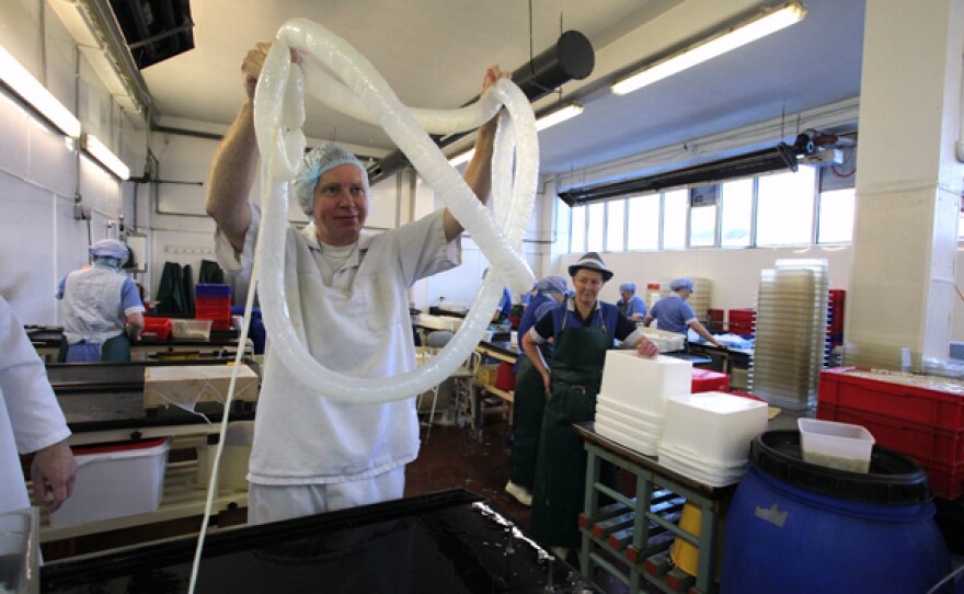 Engineer Dr. Hugh Hunt visits a sausage skin factory in Middlesbrough to learn how the Germans made the Zeppelin gasbags.