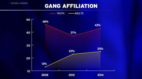 A chart shows the percentage of adults and juveniles who reported being affiliated with gangs in 2008, 2012 and 2014.