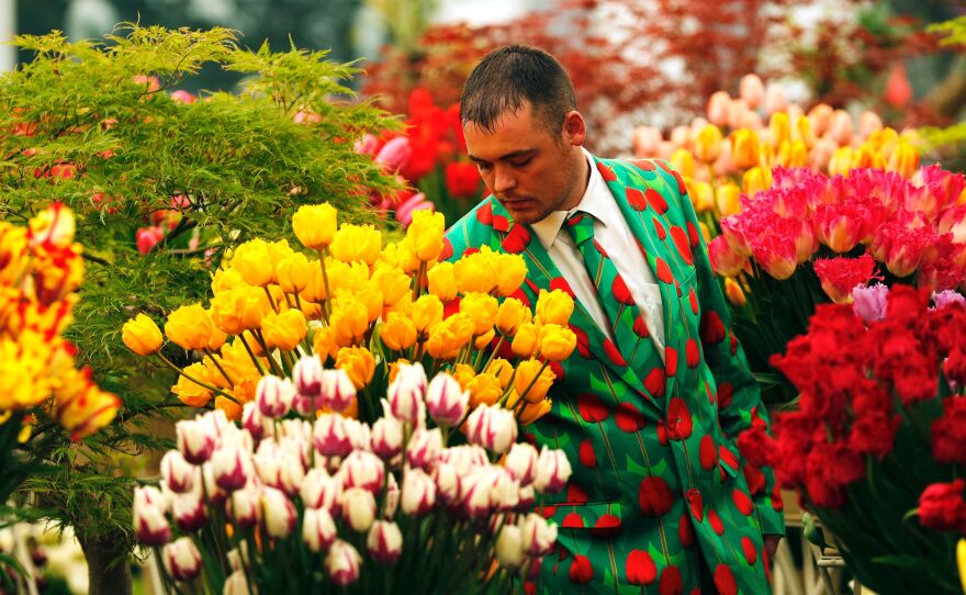 The Chelsea Flower Show has been held nearly every year since 1913 in the Royal Hospital Chelsea grounds.