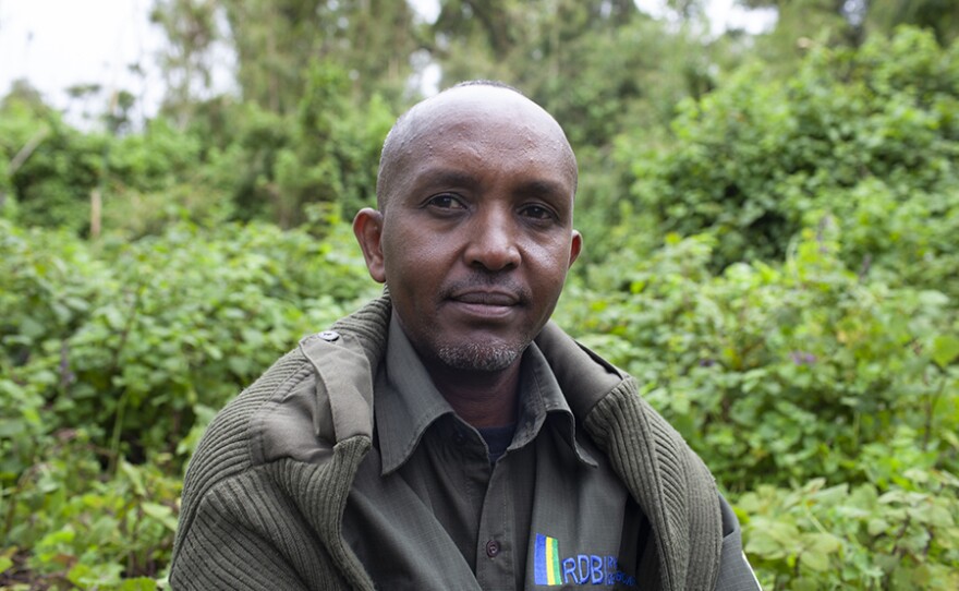 Prosper Uwingeli Chief Park Warden, Volcanoes National Park, Rwanda.
