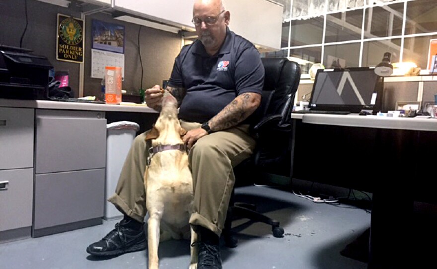 Jay Springstead, a Vietnam veteran who has post-traumatic stress disorder, started working at Patriot PAWS after his youngest son, an Iraq combat vet who also had PTSD, took his own life.