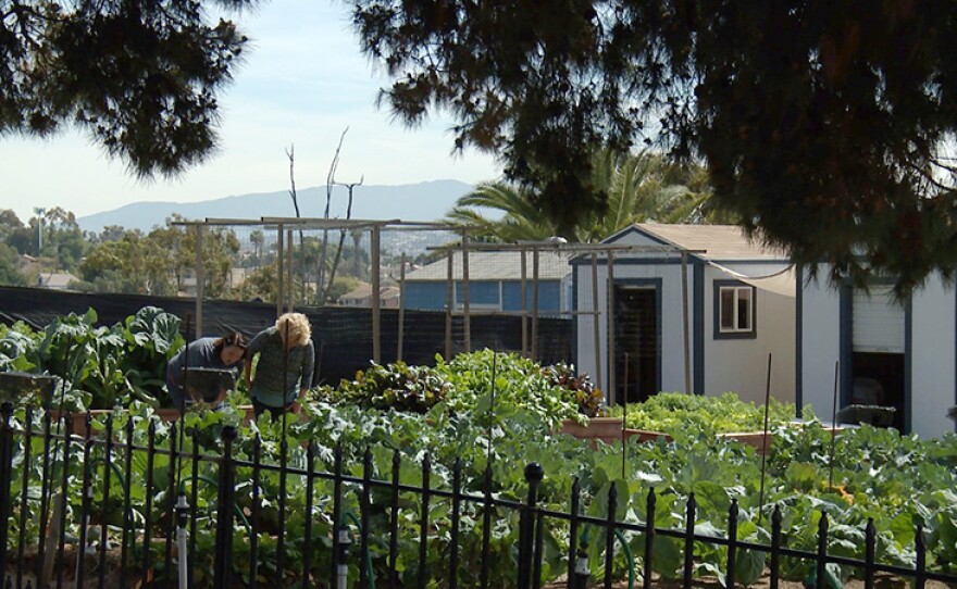 Stepheni shows host Nan Sterman around Dickinson Farm, National City, Calif. 