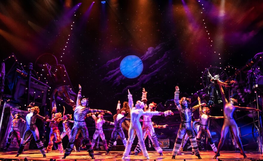 A 2019 photo of the touring company of "Cats."