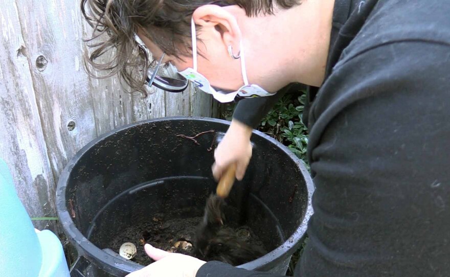 Oceanside resident Callie Kalinyuk tending to her compost bin, Dec. 17, 2021.