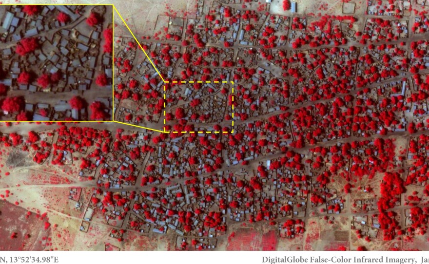 Satellite image of the village of Doro Baga in north-eastern Nigeria taken on 2 Jan 2015. Shows an example of the densely packed structures and tree cover in Doro Baga before the village was razed by Boko Haram.