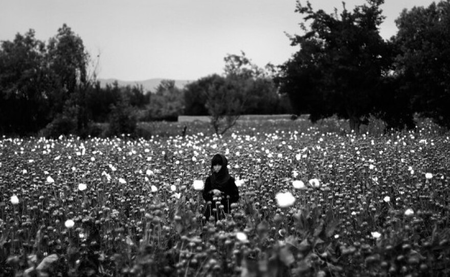 A girl stands in the middle of a poppy field as Marines pass by on patrol. From the story "In Afghanistan, Flowers Call The Shots," 2011.