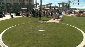 New park includes grassy areas, seating, trees and natural landscaping.