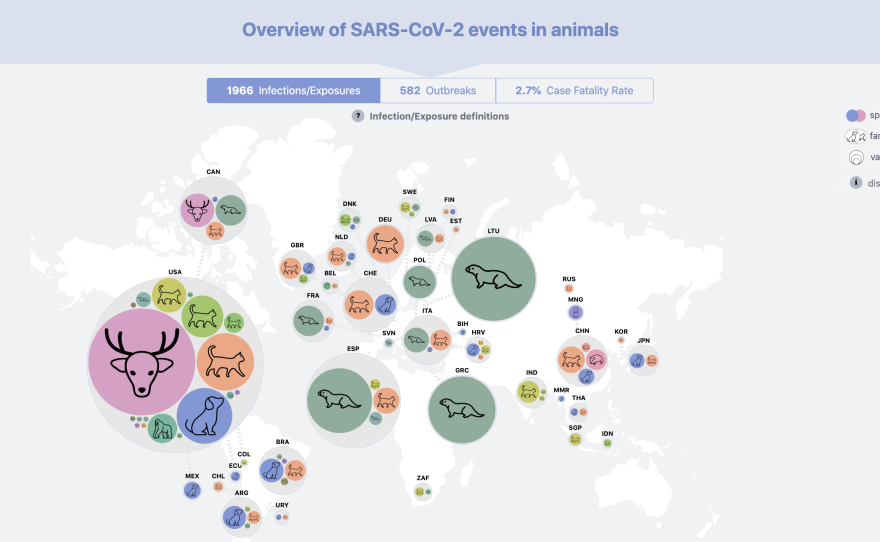 A screenshot of a map showing case counts of COVID-19 reported in different animal species, part of an interactive <a href="https://vis.csh.ac.at/sars-ani/#infections">COVID data tracking dashboard</a> rendered by Complexity Science Hub Vienna. The drawings represent the type of animal, including both domestic and wild; the size of the bubbles reflects the number of cases in each locale.