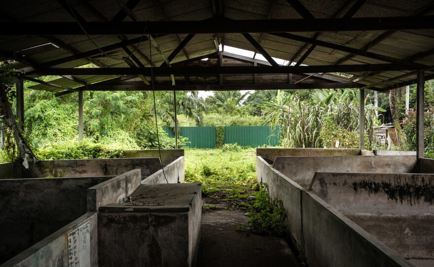 An abandoned pig farm near the center of the Nipah outbreak in the state of Negeri Sembilan. This region was at the center of Malaysia's booming pork industry in the early 1990s and was home to nearly 1 million pigs. All the farms have since been shut down.