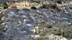 An area blackened by the Border fire in East County, June 2016.
