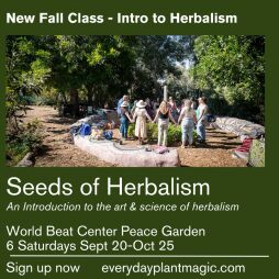 Seeds of Herbalism An Introduction to the Art and Science of Herbalism