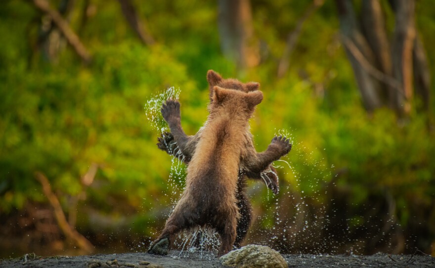 <em>Let's dance</em> in Far East Russia