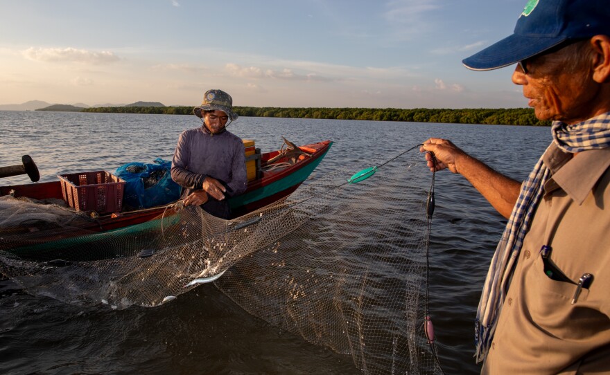 Local fisheries on the coast of Cambodia struggled with decimated fish populations for years. Today, they are teeming with seafood, thanks to local ecological restoration efforts. Here (at right), Koh Kresna village chief Khiev Sat talks with a fisherman about the day's catch.