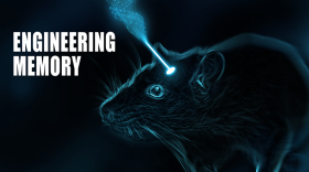 The journal Nature published Malinow's research on manipulating mouse memories. 