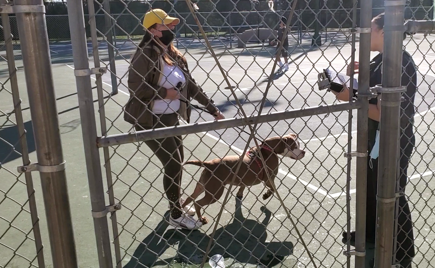 Sierra Dockery, a park patrol officer with the San Diego Humane Society, writes a citation to a woman who had her dog loose in a basketball court, Feb. 2, 2022.