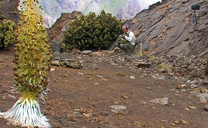 Soundtracker Gordon Hempton, Haleakala. On the second-largest island of Maui, the Haleakala volcano rises 10,000 feet — nearly two miles — into the sky.