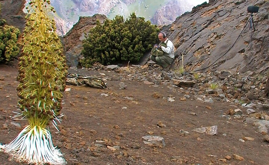 Soundtracker Gordon Hempton, Haleakala. On the second-largest island of Maui, the Haleakala volcano rises 10,000 feet — nearly two miles — into the sky. 