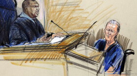 An artist's rendering shows James von Brunn, accused of fatally shooting a security guard June 10 at the U.S. Holocaust Memorial Museum in Washington, D.C., in federal court Wednesday.