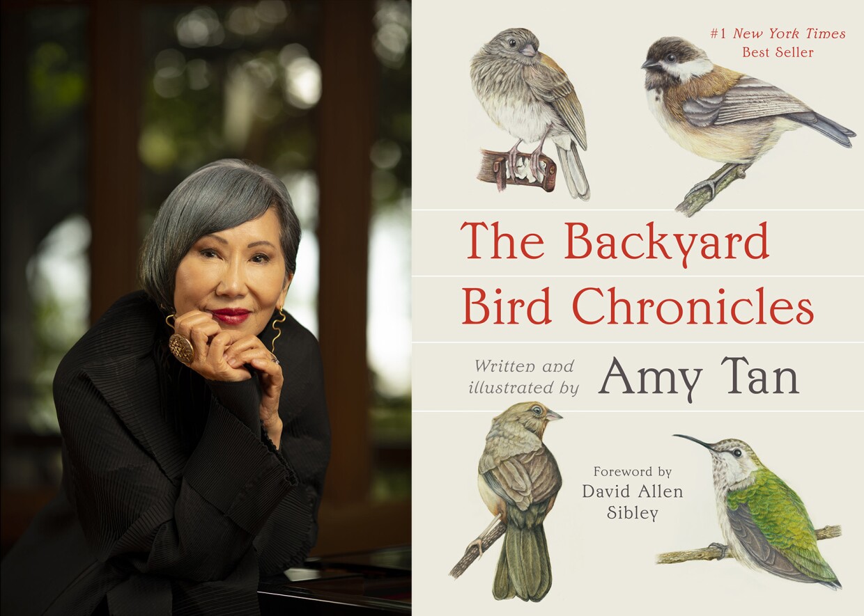 A photo of Amy Tan is shown next to the book cover for "The Backyard Bird Chronicles."