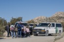 U.S. Customs and Border Protection load migrants into vans to take them to processing centers after the migrants waited for hours to days in the desert near Jacumba Hot Springs, Oct. 6, 2023.