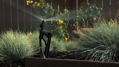A water-efficient sprinkler sprays plants in a Chula Vista yard in this undated photograph.