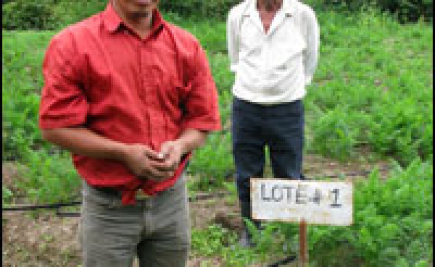 Vincente Sanchez (left) leads a farmers cooperative that sells vegetables directly to Wal-Mart.