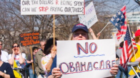 Supporters of the Tea Party movement protest health care overhaul outside the U.S. Capitol, March 20, 2010.