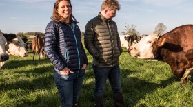 Bronwen (left) and Francis Percival in the pasture with cows. Their new book traces the transatlantic cheese wars that led to the rise of factory cheeses and loss of traditional varietals. They also look at the farmhouse cheesemakers working to restore that lost legacy.