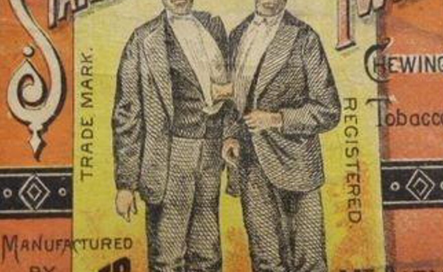 "Siamese Twins" tobacco