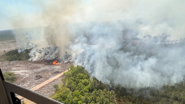 The photo provided by the Office of Gov. Brian Kemp shows smoke produced from a wildfire in Brantley County, Ga., Friday, April 24, 2026.