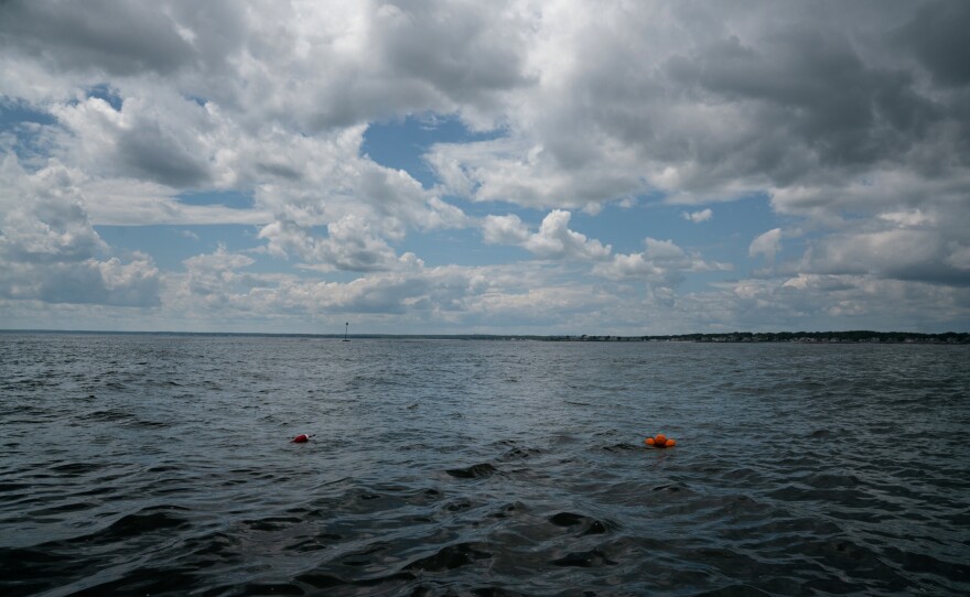 With ropeless technology, orange markers rise to the surface of the water at the traps once they are triggered remotely.