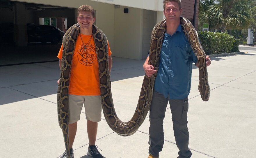 Stephen Gauta (left) and Jake Waleri brought the 19-foot python to the Conservancy of Southwest Florida in Naples, Fla., to have it measured and donated for studies.